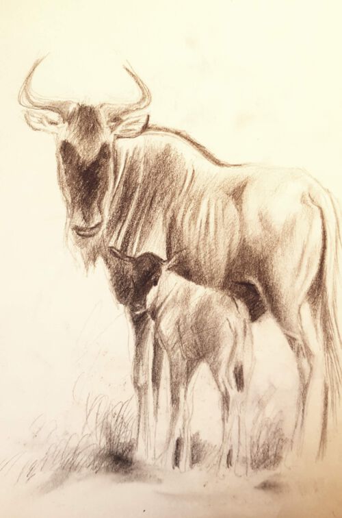 עיפרון על נייר, 1996